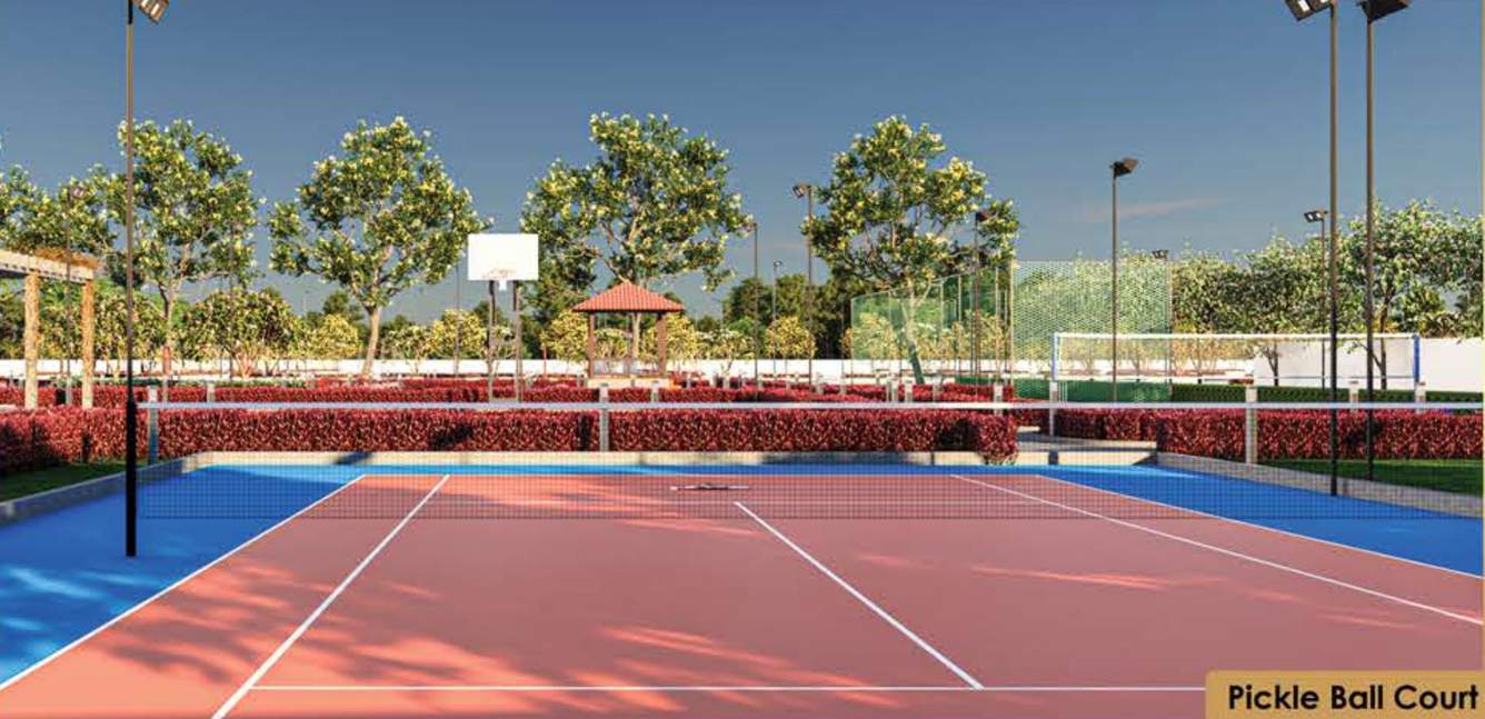  empire Football Field