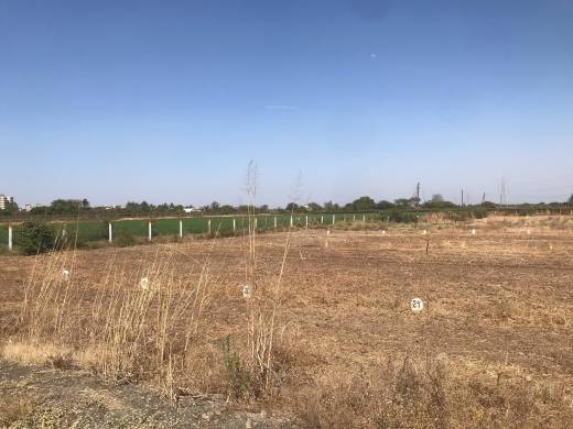 shrihari-nagar-phase-2 Elevation Elevation