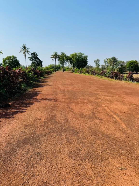  nidhivan farm Plot