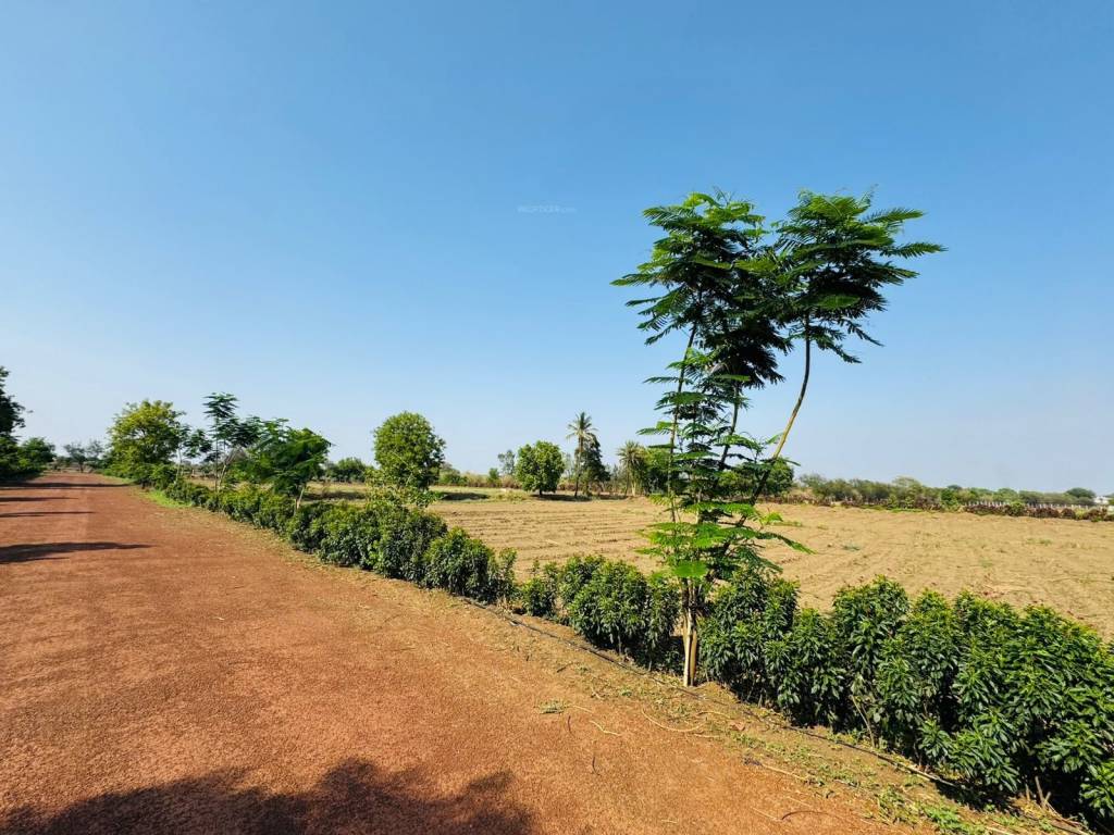  nidhivan farm Plot