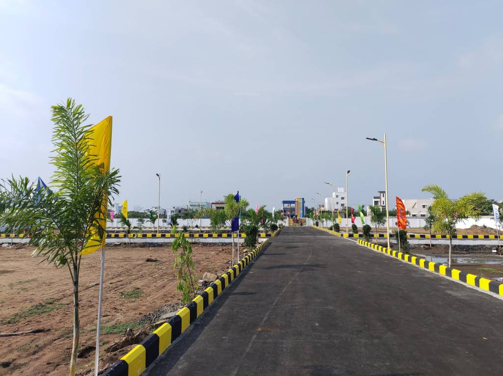  ccp rmp paradise Plot