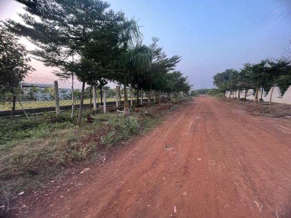 Plot samriddhi-farm Plot