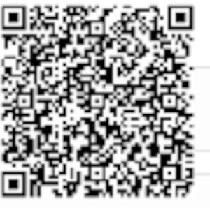 QR Image