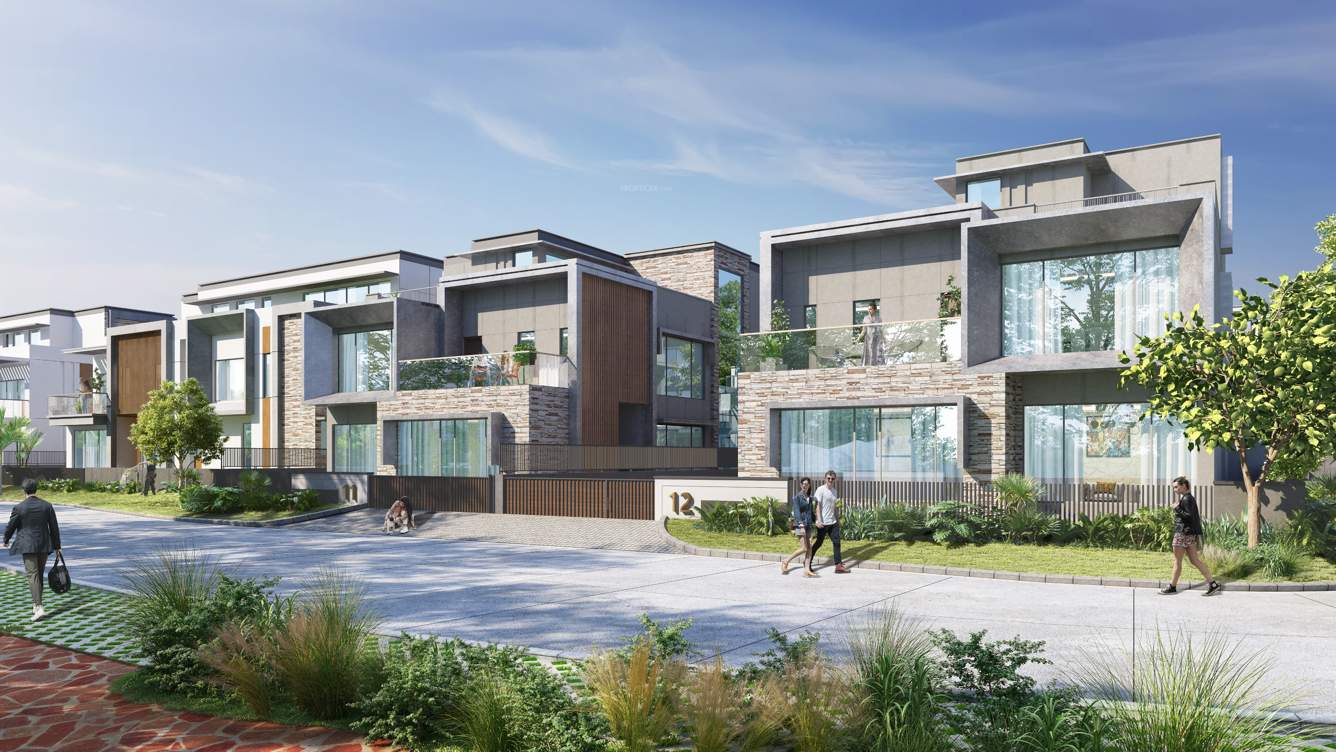  ozone the golden estate Others