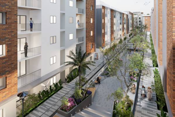  tranquilis-phase-2 Others