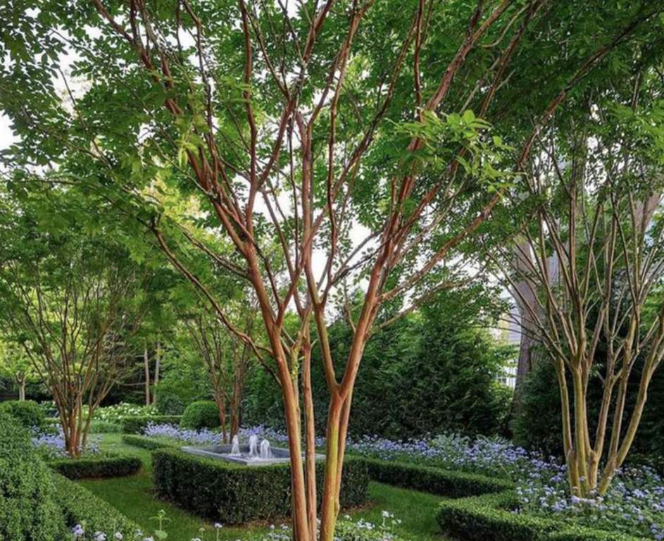  ahinsha the grand green valley Landscape Garden and Tree Planting