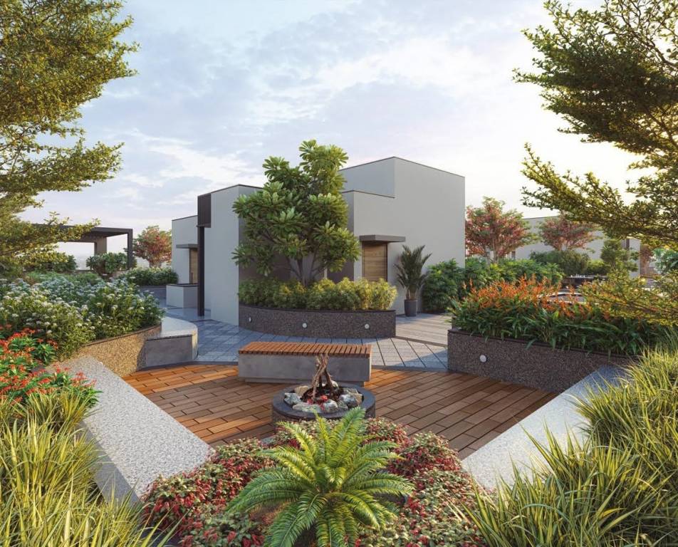  status altezza Senior Citizen Sitout