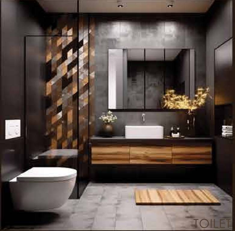  aspire silicon city Bathroom