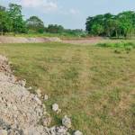 Elevation  township Elevation