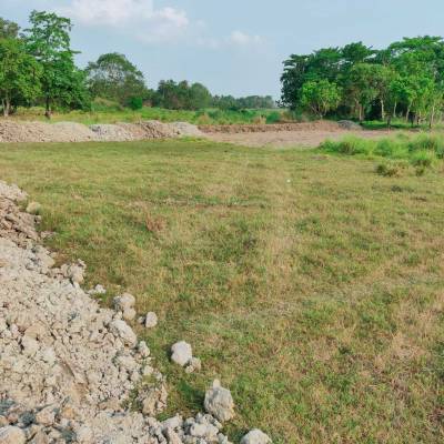 township Elevation Elevation