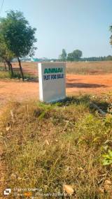 Elevation annai-nagar Elevation