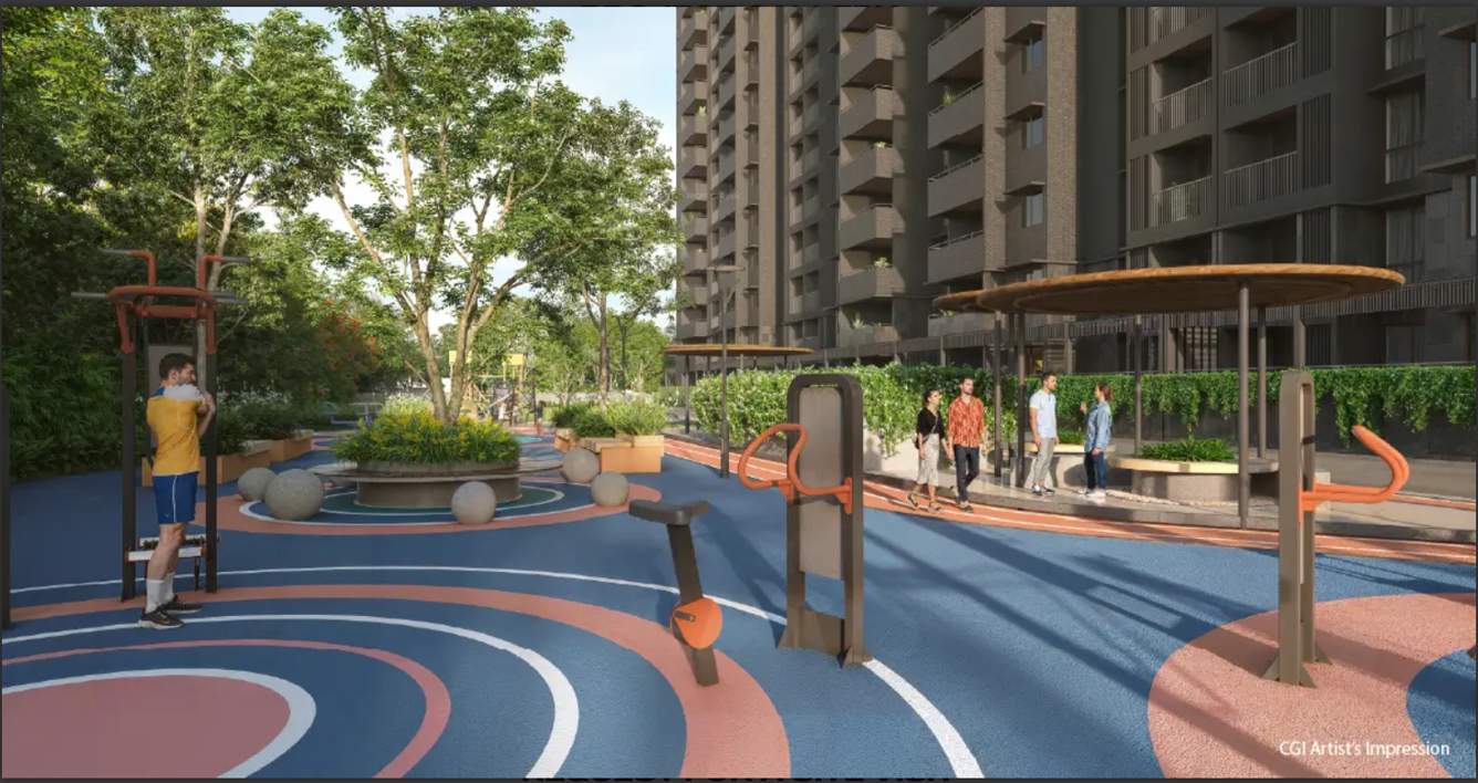 zen and sato Open Gym