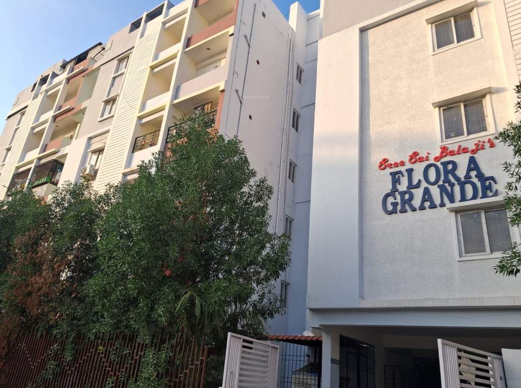  folra grande Elevation