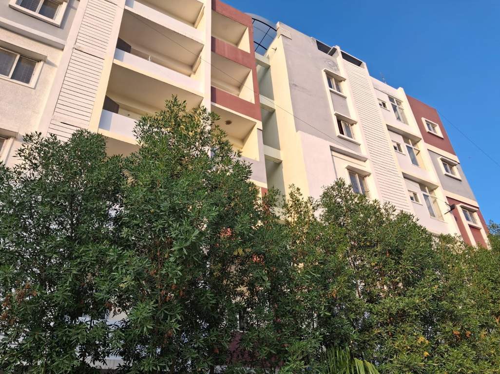  folra grande Elevation