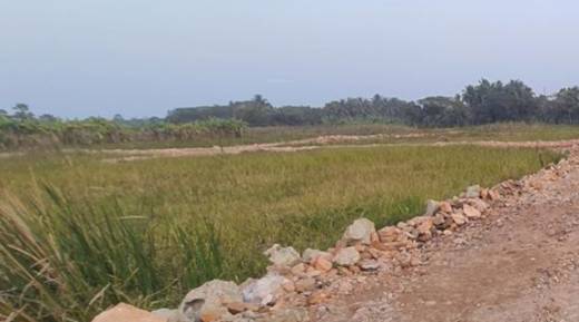 natures-paradise-phase-ii Elevation Elevation