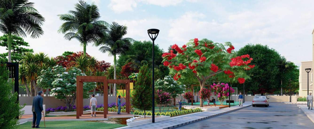  bilasman Landscape Garden and Tree Planting