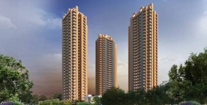  ballads-of-bliss Elevation