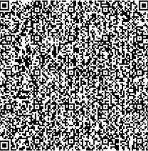 QR Image