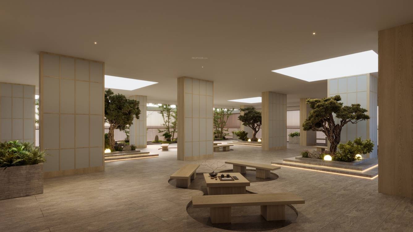  skyzenia Senior Citizen Sitout