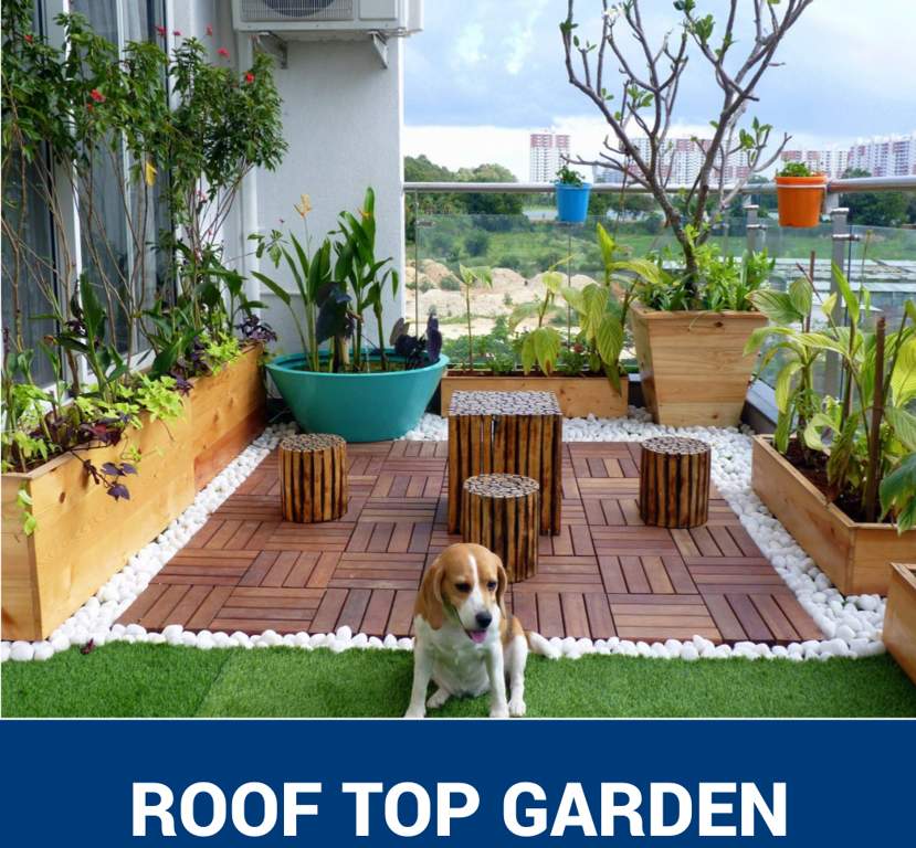  fortune palace c Terrace Garden