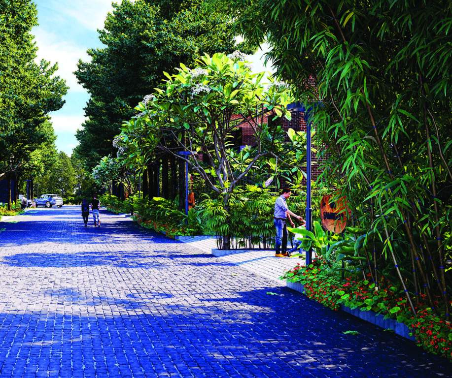  serenia Landscape Garden and Tree Planting