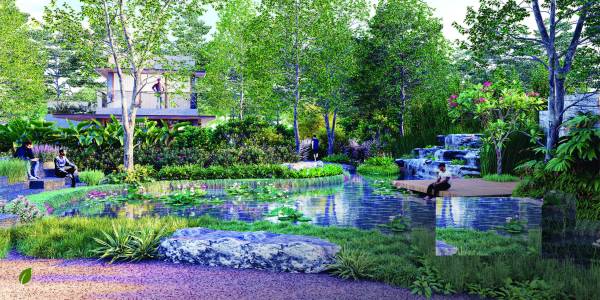  serenia Natural Pond