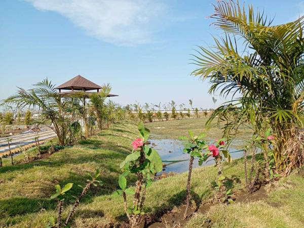  anandam-hills-view Plot