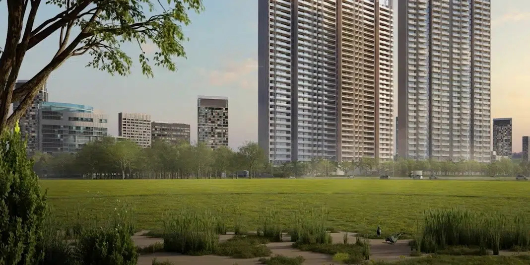 miraabilis Elevation