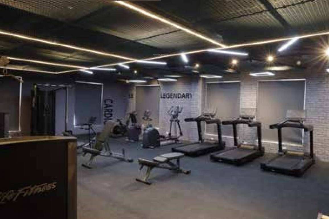 the summit Gymnasium