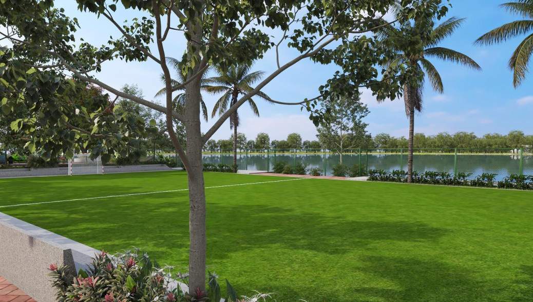  santorini Landscape Garden and Tree Planting