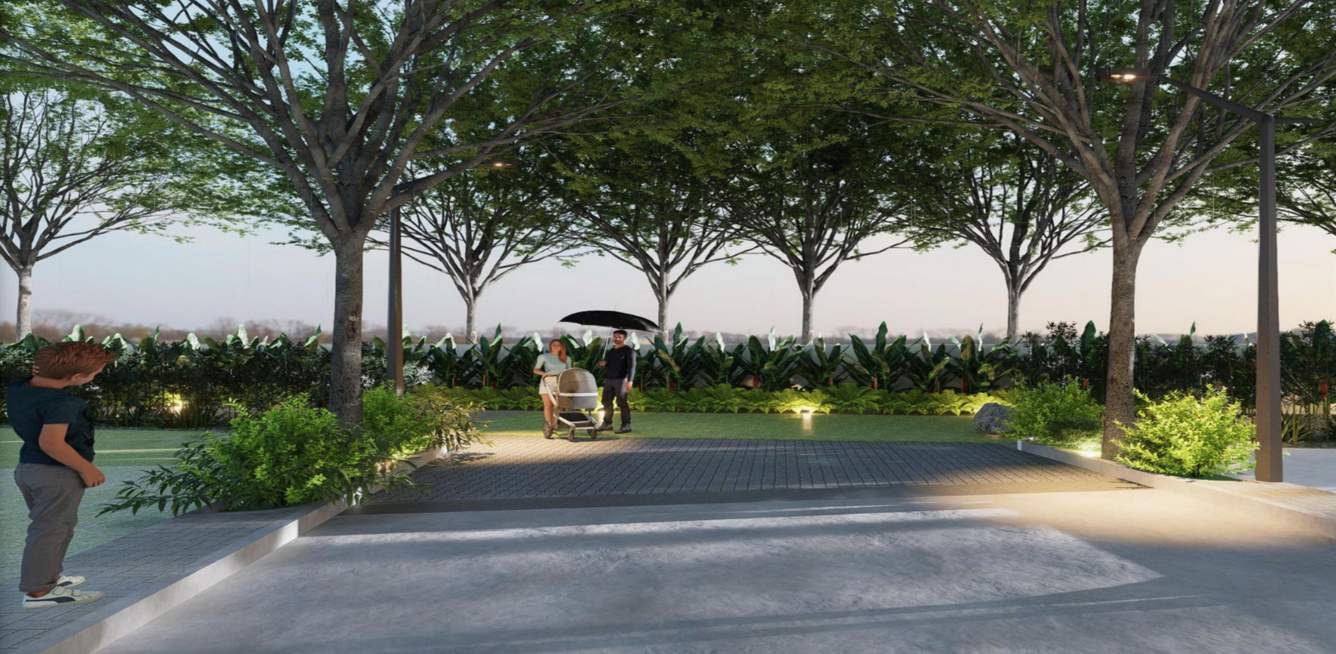  santorini Landscape Garden and Tree Planting