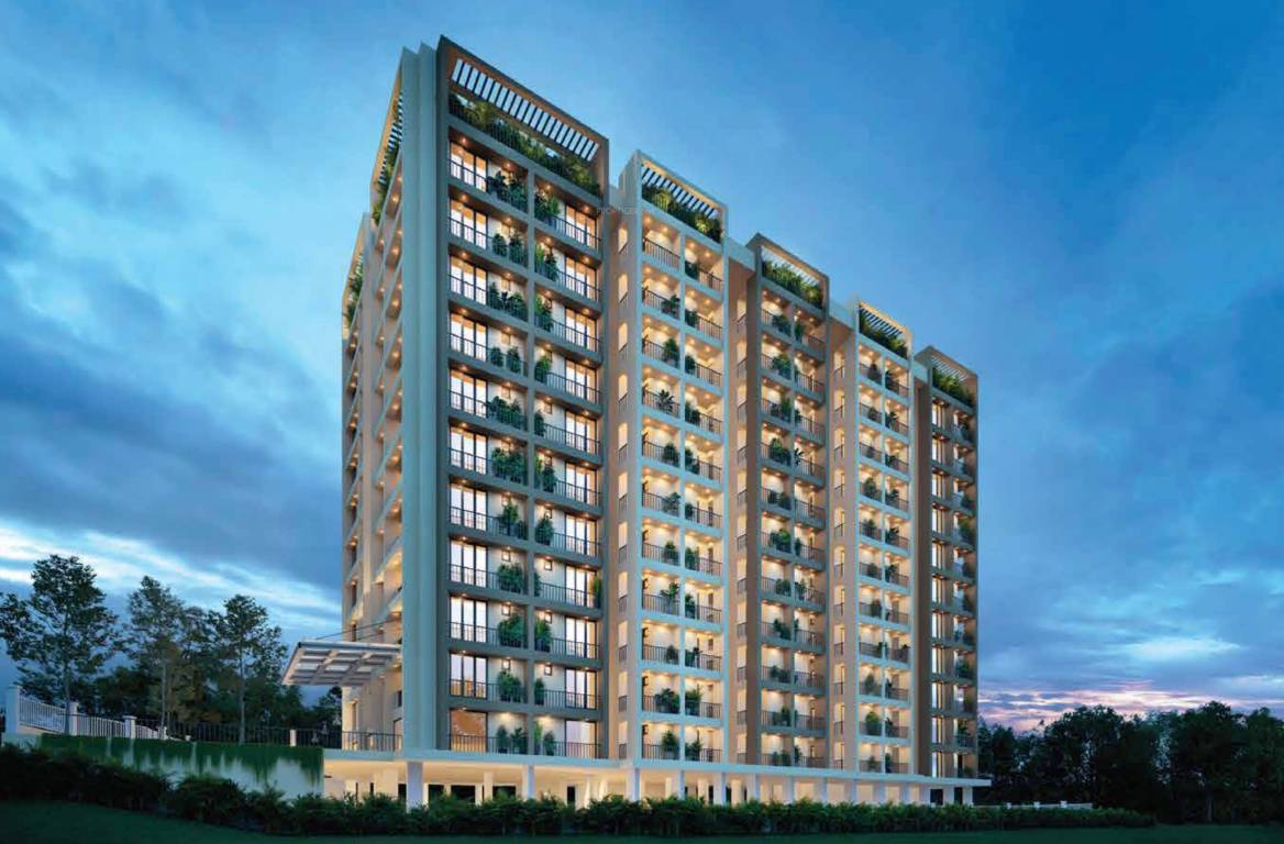 the next prodigy Elevation