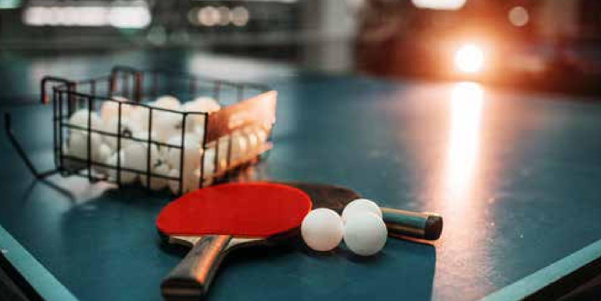 the next prodigy Table Tennis