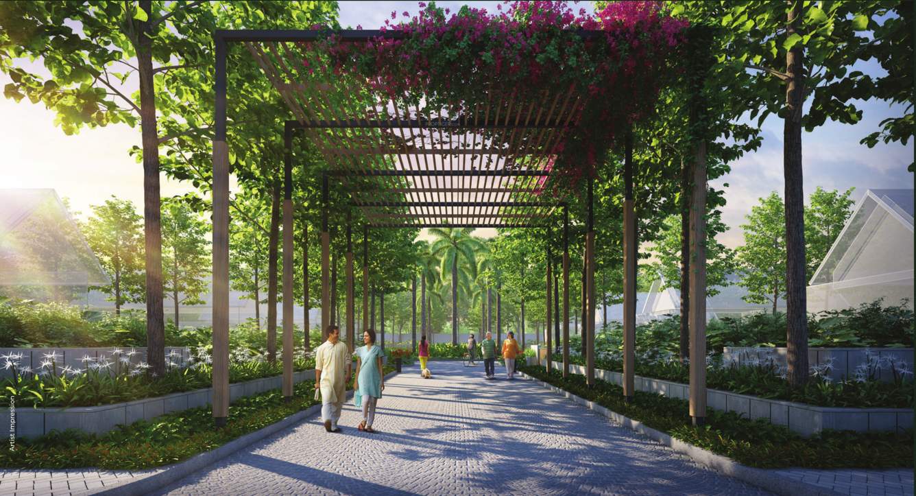  aspire city phase 2 Landscape Garden and Tree Planting