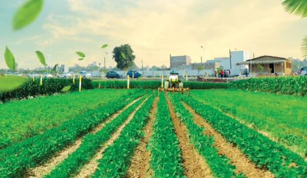  srk-organic-farms Elevation