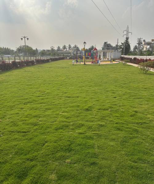  eden Children's play area