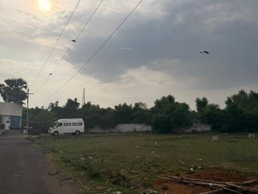 sai-and-al-garden Elevation Elevation