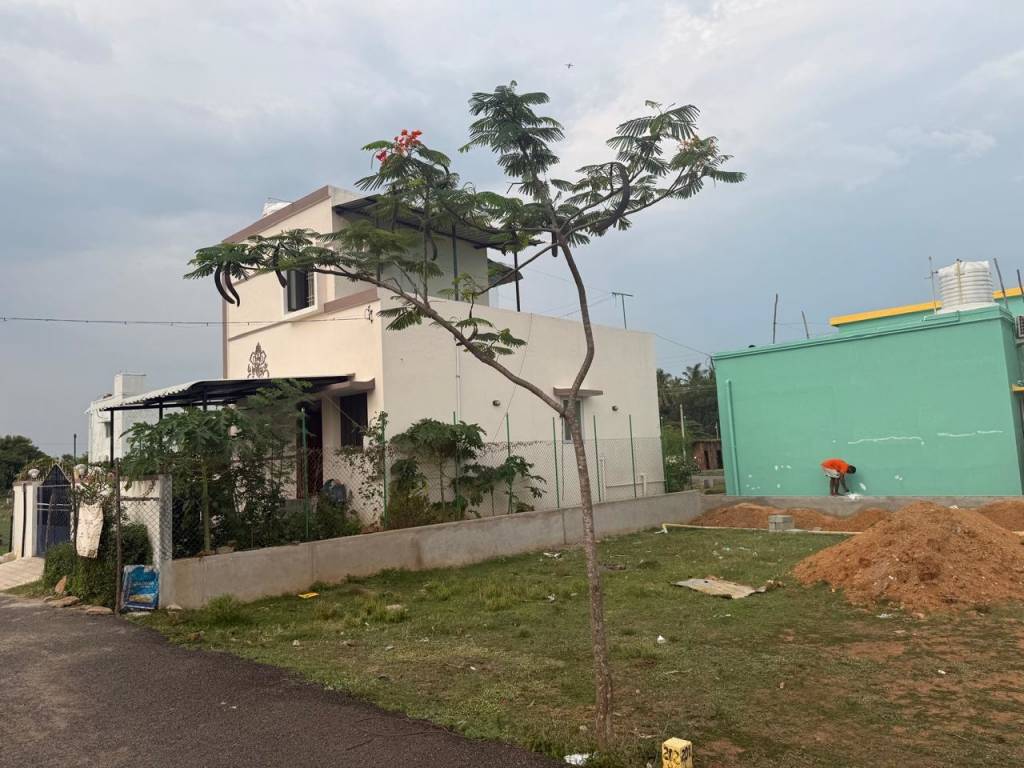  sai and al garden Plot