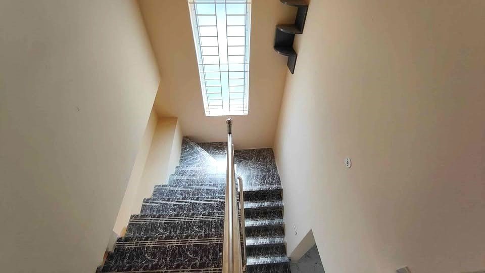  paradise phase 2 Others