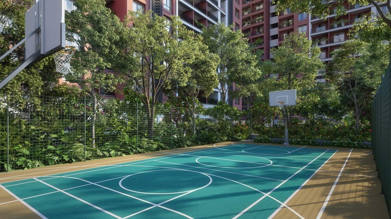  nesterra Basketball Court