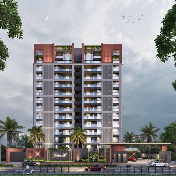 Elevation cilantra Elevation