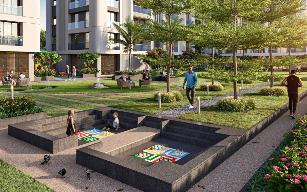  cilantra Landscape Garden and Tree Planting