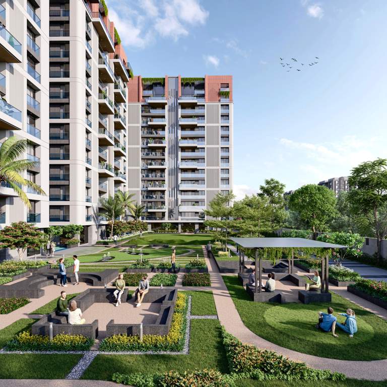  cilantra Landscape Garden and Tree Planting