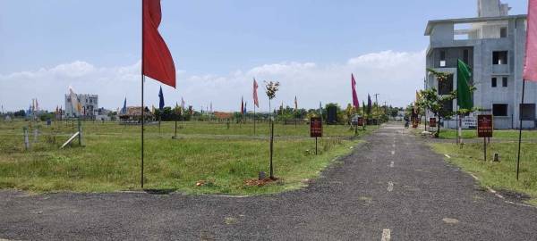  snd-royal-divine Plot