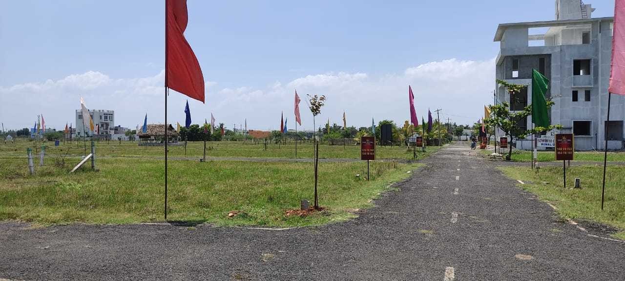  snd royal divine Plot