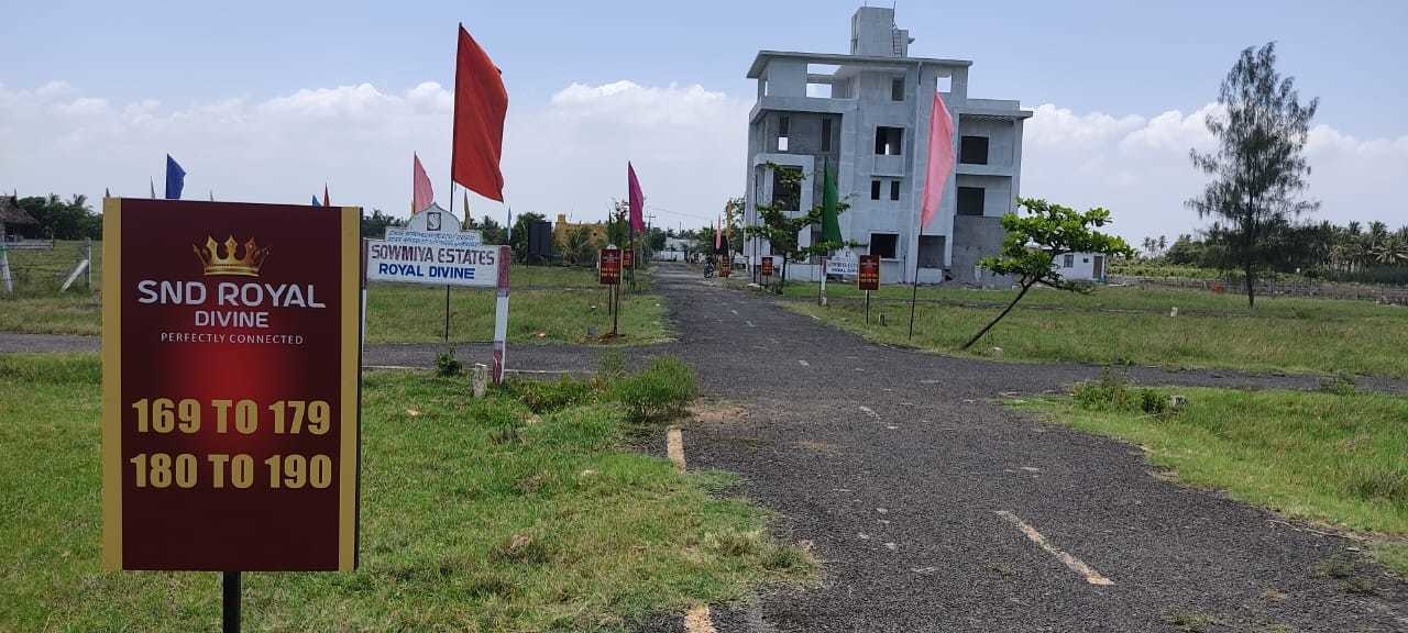  snd royal divine Plot