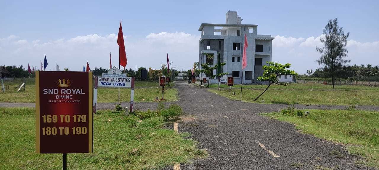  snd royal divine Plot