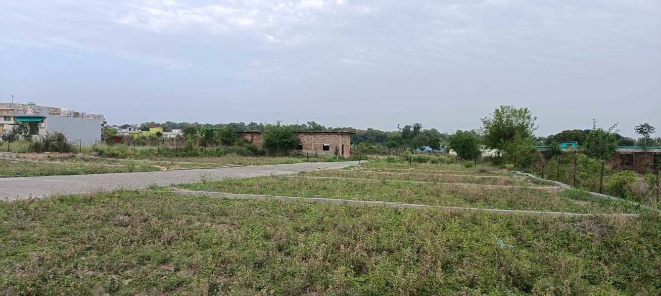 sun view valley Plot