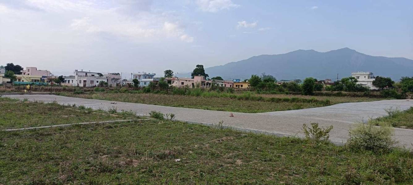 sun view valley Plot