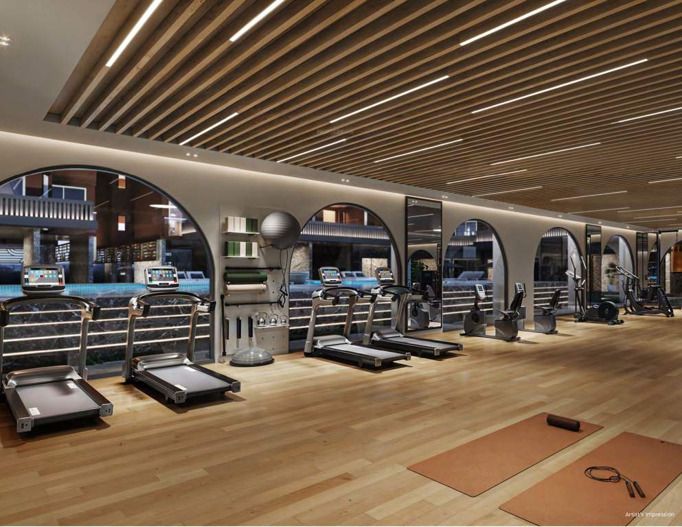  solstice Gymnasium